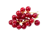 424190 SAV. Redcurrants 125g