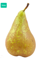 475082 SAV.  Conference Pears Bulk 12kg