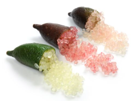 488725 SAV.  Finger Limes 1kg