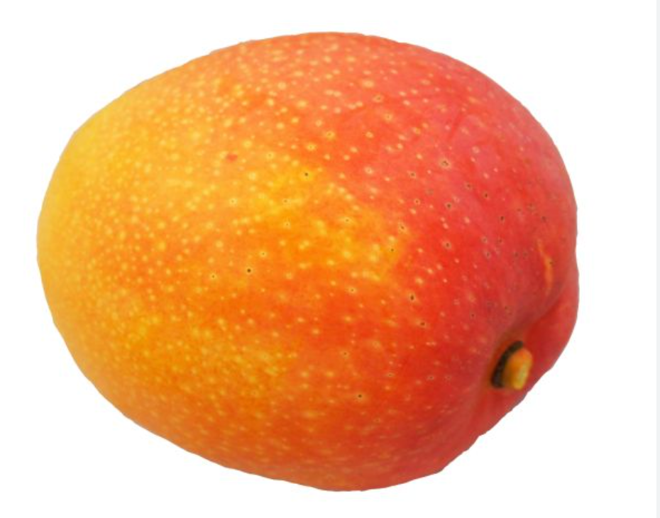 484482 SAV. Mangoes Air Freight PREMIUM each
