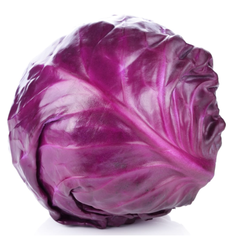427897 SAV. Chilled Red Cabbage 1kg