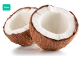 464913 SAV. Chilled Single Coconut