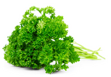 438292 SAV. Chilled Curly Parsley 100g