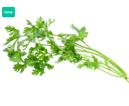 497684 SAV. Chilled Coriander 100g