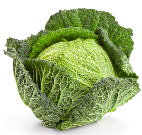 429196 SAV. Chilled Single Savoy Cabbage