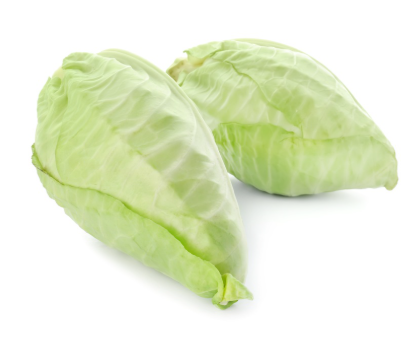 487913 SAV. Chilled Single Hispi Cabbage