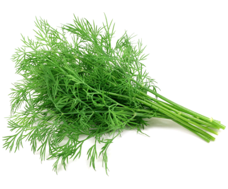 423944 SAV. Chilled Dill 100g