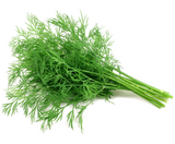 423944 SAV. Chilled Dill 100g