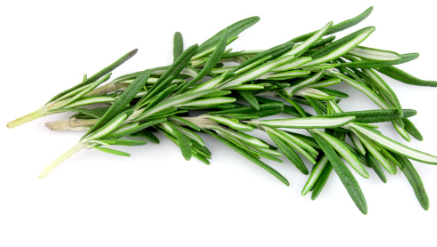 478270 SAV. Chilled Rosemary 100g