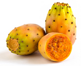 472045 SAV. Chilled Single Prickly Pear