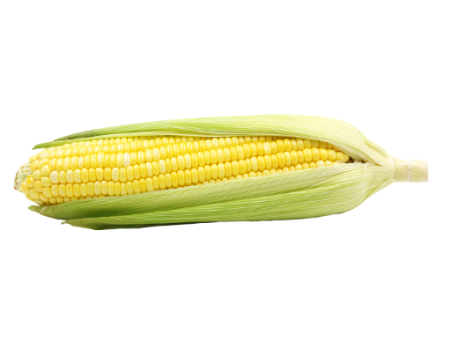416069 SAV. Chilled Single Loose Sweetcorn