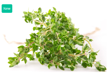 484002 SAV. Chilled Thyme 100g