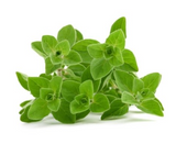444219 SAV. Chilled Marjoram 100g