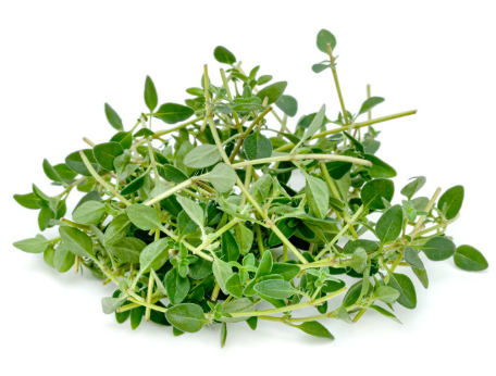 408966 SAV. Chilled Lemon Thyme 100g