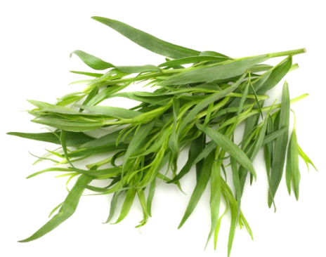 417911 SAV. Chilled Tarragon 100g
