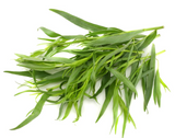 417911 SAV. Chilled Tarragon 100g