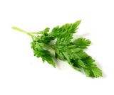 430325 SAV. Chilled Chervil 100g