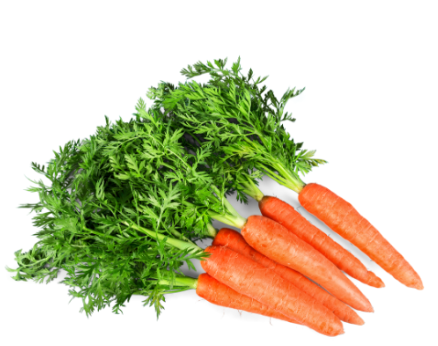 407058 SAV. Chilled Bunched Large Carrots 200g