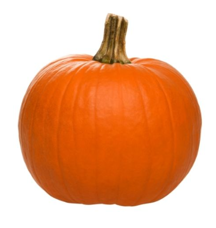 423166 SAV. Chilled Pumpkin 1kg