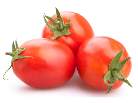 400580 SAV. Chilled Plum Tomatoes 1kg