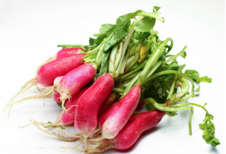 424463 SAV. Chilled French Breakfast Radish 150g