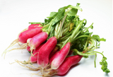 424463 SAV. Chilled French Breakfast Radish 150g