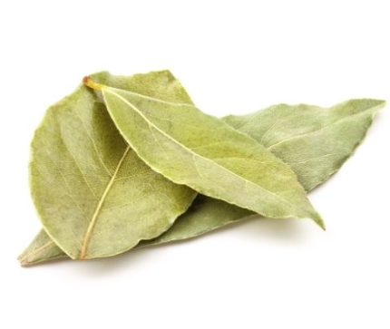 400491 SAV. Chilled Bayleaf 100g