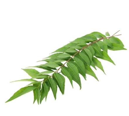 465840 SAV. Chilled Curry Leaf 50g