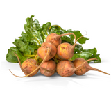 408892 SAV. Chilled Golden Beetroot 1kg