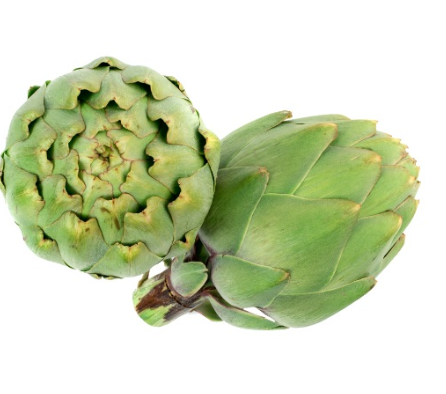 456972 SAV. Chilled Single Globe Artichoke