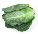 441388 SAV. Chilled Spring Green Cabbage 1kg
