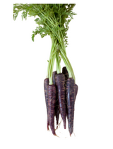 475097 SAV. Chilled Purple Carrots 1kg