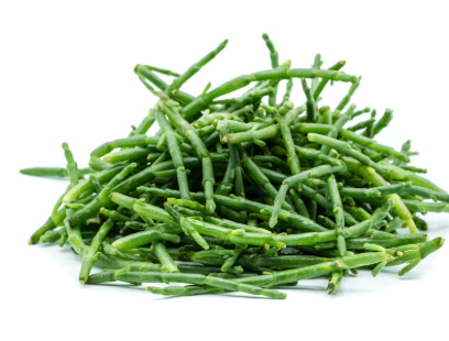 417899 SAV. Chilled Salicornia 100g