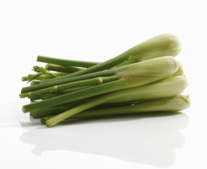 498129 SAV. Chilled Baby Fennel Bunch 100g