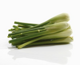 498129 SAV. Chilled Baby Fennel Bunch 100g