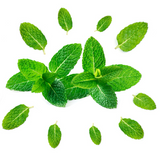 408925 SAV. Chilled Mint Tips 30g, 25pcs