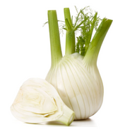 427362 SAV. Chilled Fennel 1kg