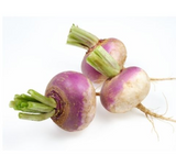 479267 SAV. Chilled Turnips 1kg