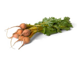 421689 SAV. Chilled Baby Golden Beetroots Bunch