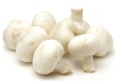 410606 SAV. Chilled Small Button Mushrooms 1kg