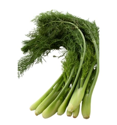 472323 SAV. Chilled Baby Yukon Fennel 200g