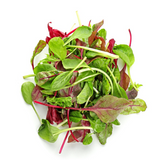 454658 SAV. Mixed Mesulin Leaf Salad 500g