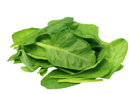 412437 SAV. Baby Pousse Spinach 500g