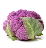 478283 SAV. Single Purple Cauliflower