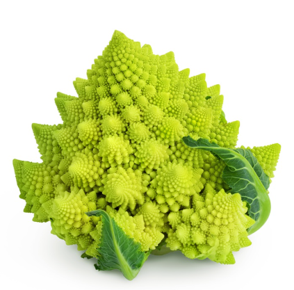 451928 SAV. Single Romanesco Cauliflower