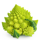 451928 SAV. Single Romanesco Cauliflower