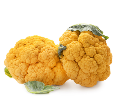 482364 SAV. Single Yellow Cauliflower