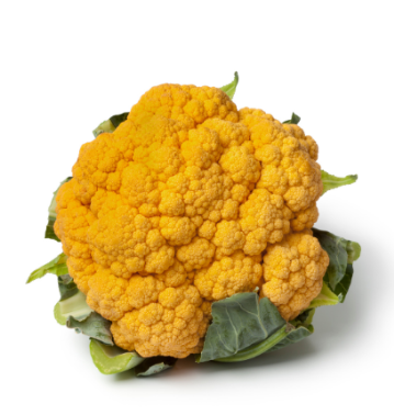 436141 SAV. Single Orange Cauliflower