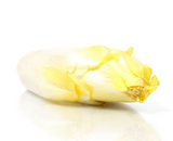 470414 SAV. White Chicory 1kg