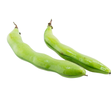 481818 SAV. Broad Beans 1kg